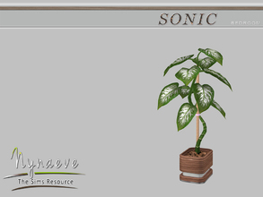 Sims 4 — Sonic Colocasia by NynaeveDesign — Sonic Bedroom - Colocasia Located in: Decor - Plants Price: 210 Tiles: 1x1
