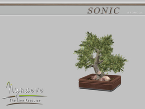 Sims 4 — Sonic Bonsai by NynaeveDesign — Sonic Bedroom - Bonsai Located in: Decor - Plants Price: 210 Tiles: 1x1 Color