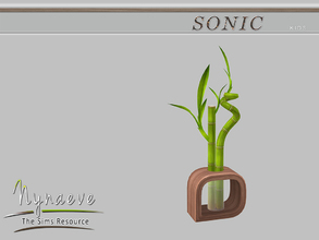 Sims 4 — Sonic Lucky Bamboo by NynaeveDesign — Sonic Kids - Lucky Bamboo Located in: Decor - Plants Price: 210 Tiles: 1x1