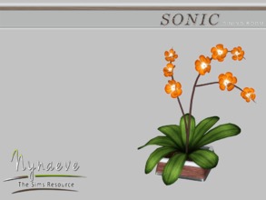 Sims 3 — Sonic Orchid by NynaeveDesign — Sonic Dining Room - Orchid Located in: Decor - Plants Price: 211 Tiles: 0.5x0.5
