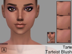 Sims 4 — Tarte | Tarteist Blush Palette | 4 Shades by Lovely_Kristy — Tarte Tarteist Blush Palette is the ultimate