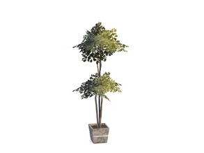 Sims 4 — Emerson Ficus Tree by sim_man123 — A large potted ficus tree, as part of my Emerson Dining Room. Converted from
