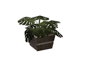 Sims 4 — Emerson Philodendron  by sim_man123 — A simple potted philodendron, as part of my Emerson Dining Room, converted