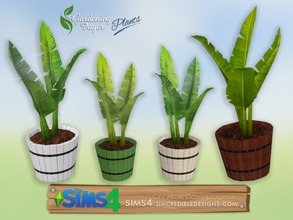 Sims 4 — Gardening Foyer plants - potted banana leaves by SIMcredible! — by SIMcredibledesigns.com available at TSR