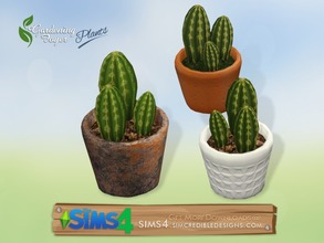 Sims 4 — Gardening Foyer plants - cactus by SIMcredible! — by SIMcredibledesigns.com available at TSR __________________