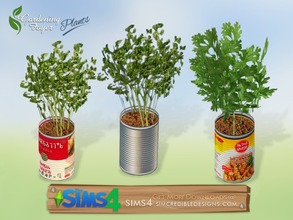 Sims 4 — Gardening Foyer plants - edible herbs by SIMcredible! — You can choose between cilantro and parsley. Or use them