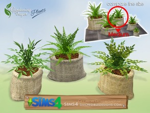 Sims 4 — Gardening Foyer plants - plant mid by SIMcredible! — by SIMcredibledesigns.com available at TSR