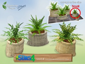 Sims 4 — Gardening Foyer plants - plant small by SIMcredible! — by SIMcredibledesigns.com available at TSR