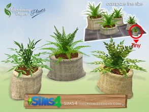 Sims 4 — Gardening Foyer plants - plant tiny by SIMcredible! — by SIMcredibledesigns.com available at TSR