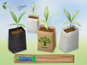Sims 4 — Gardening Foyer plants - seedling bag by SIMcredible! — by SIMcredibledesigns.com available at TSR
