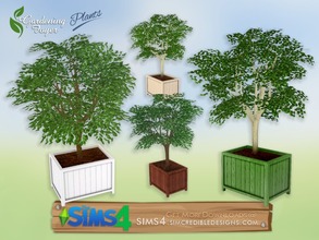 Sims 4 — Gardening Foyer plants - potted tree by SIMcredible! — by SIMcredibledesigns.com available at TSR