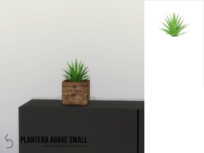 Sims 4 — PLANTERA Agave Small by k-omu2 — A tiny little agave plant for tight spaces. 