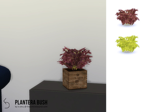 Sims 4 — PLANTERA Bush  by k-omu2 — A small bush to bring some life to your desk or table. (or ground, they're not picky)