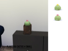 Sims 4 — PLANTERA Cactus 4 Small by k-omu2 — A small, round cactus with flowers. Comes in two swatches - pink flower and