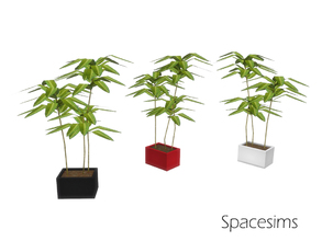 Sims 4 — Chromium bedroom - Plant by spacesims — This potted palm brings a breath of fresh air into your Sims' homes.