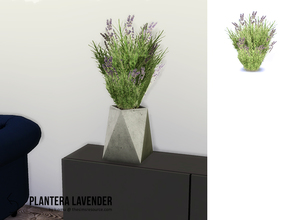 Sims 4 — PLANTERA Lavender  by k-omu2 — A cute lavender bush to brighten up a room.