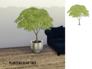 Sims 4 — PLANTERA Olive Tree by k-omu2 — A large Olive tree to give your home a Mediterranean touch.