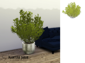 Sims 4 — PLANTERA Shrub by k-omu2 — A large luscious shrub to fill your home.