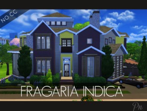 Sims 4 — Fragaria Indica [TS4 Version] by ProbNutt — Traditional family home that exposes a burst of shapes and colors