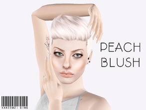 Sims 3 — Peach Blush by KareemZiSims2 — This blush provides a forehead shine, defining cheeks, and nose definition. It is