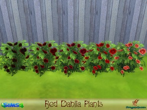 Sims 4 — Red Dahlia Plant by DragonQueen — The dahlia is the national flower of Mexico known for its continuous, colorful