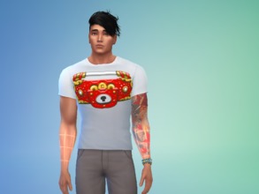 Sims 4 — Ace Attorney T-Shirts by MichaelDiPuorto — T-Shirt for everyone who love Ace Attorney Series. The T-Shirt are