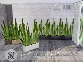 Sims 4 — Solatium snake plant by SIMcredible! — by SIMcredibledesigns.com available at TSR 4 colors variations