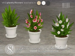 Sims 4 — Like a Sunday Flower  by SIMcredible! — by SIMcredibledesigns.com available at TSR 9 colors variations