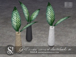 Sims 4 — Like a Sunday plant by SIMcredible! — by SIMcredibledesigns.com available at TSR 3 colors variations