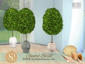 Sims 4 — Coastal plant by SIMcredible! — by SIMcredibledesigns.com available at TSR 3 colors variations