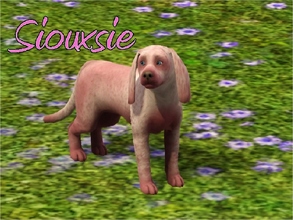 Sims 3 — Siouxsie Dog by MissMoonshadow — Meet Siouxsie, a beautiful pink female mini Cocker Spaniel. She, like many