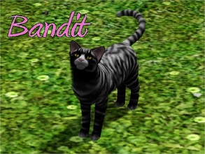 Sims 3 — Bandit Cat by MissMoonshadow — Meet Bandit, a beautiful female black and white striped cat. She knows that