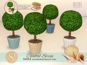 Sims 4 — Coastal Plants 3 Topiary by SIMcredible! — by SIMcredibledesigns.com available at TSR 4 colors variations