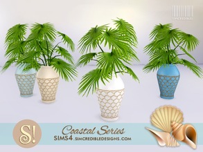 Sims 4 — Coastal Plants 4 Palmetto by SIMcredible! — by SIMcredibledesigns.com available at TSR 4 colors variations