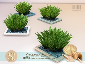 Sims 4 — Coastal Plants 5 Spider lily beach leaves by SIMcredible! — by SIMcredibledesigns.com available at TSR 4 colors