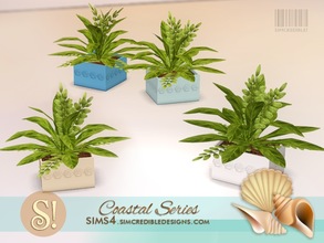Sims 4 — Coastal Plants 8 Honey Locust Mixed by SIMcredible! — by SIMcredibledesigns.com available at TSR 4 colors