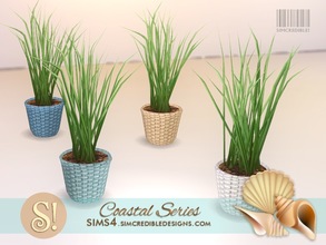 Sims 4 — Coastal Plants 9 Beach grass by SIMcredible! — by SIMcredibledesigns.com available at TSR 4 colors variations