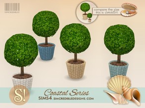 Sims 4 — Coastal Plants 11 Mini topiary by SIMcredible! — by SIMcredibledesigns.com available at TSR 4 colors variations 