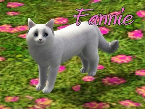 Sims 3 — Fannie Cat by MissMoonshadow — Meet Fannie, a beautiful female Turkish Angora cat. This little princess can be