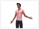 (Male) Lovely Llama T-Shirt - Click to view and download separately!