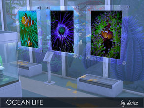 Sims 4 — Ocean Life by dasie22 — This pictures set contains 3 different photos of amazing ocean life by various artists.