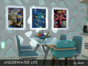 Sims 4 — Underwater Life by dasie22 — This pictures set contains 3 different photos of amazing underwater life by various