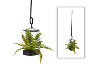 Sims 4 — Aylin Hanging Fern Cage by sim_man123 — An old cage re-purposed as a planter for a fern.