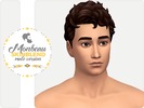 Sims 4 — Monbeau Skinblend by Nords — What's up guys? Here is my newest Custom Content for The Sims 4, it's the male