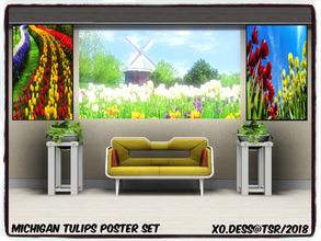 Sims 3 — Dess_Michigan Tulips. ART SET* by Xodess — This set consists of three single file paintings, all based around