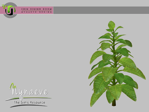 Sims 4 — Erin Large Plant by NynaeveDesign — Erin Dining Room Decor - Large Plant Located in: Decor - Plants Price: 226