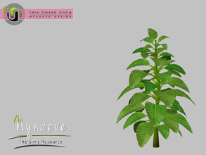 Sims 3 — Erin Large Plant by NynaeveDesign — Erin Dining Room Decor - Large Plant Located in: Decor - Plants Price: 226