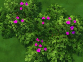 Sims 4 — Set 2 Recolor of Low-Lying Pale Yellow Flowers by texxasrose — I just love these flowers, but it frustrates me