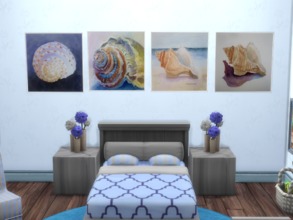 Sims 4 — Shell Art Large by erickiacoleman2 — 4 Swatches Beautiful Art Of Shells And Sea base game safe Mesh By
