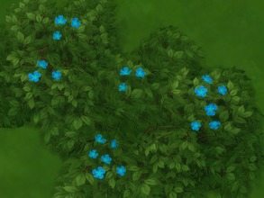 Sims 4 — Low-Lying Pale Yellow Flowers Recolors SET 4 by texxasrose — Recolors of the Low-Lying Pale Yellow Flowers that